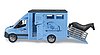 MB Sprinter camion per trasporto animali 1 cavallo