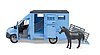 MB Sprinter camion per trasporto animali 1 cavallo