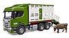 Camion de transport d’animaux Scania Super 560R avec 1 bœuf