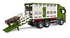 Camion de transport d’animaux Scania Super 560R avec 1 bœuf