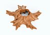 Tree stump and root
