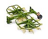 Krone Schwader