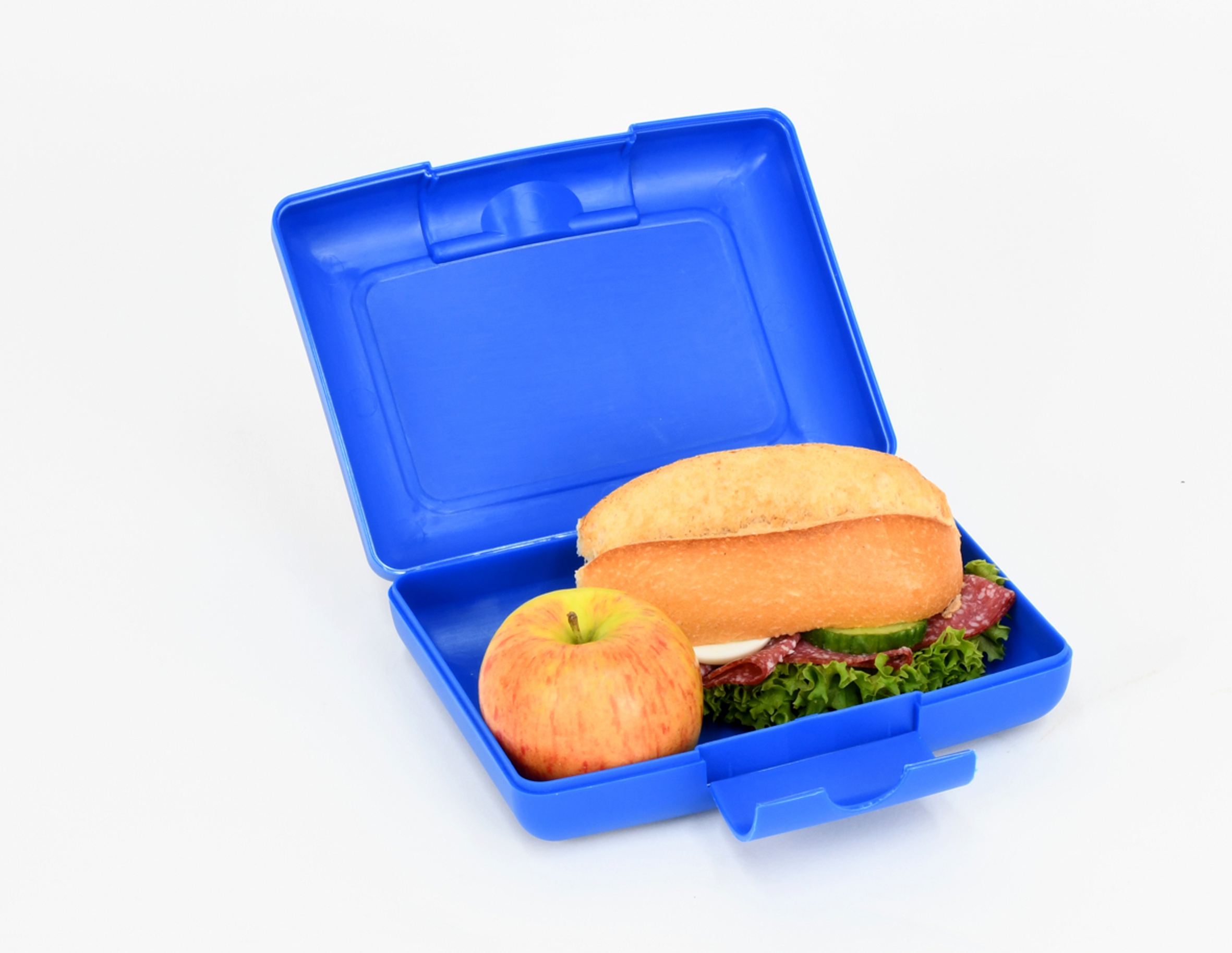 BRUDER caja de almuerzo