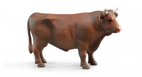 Bull